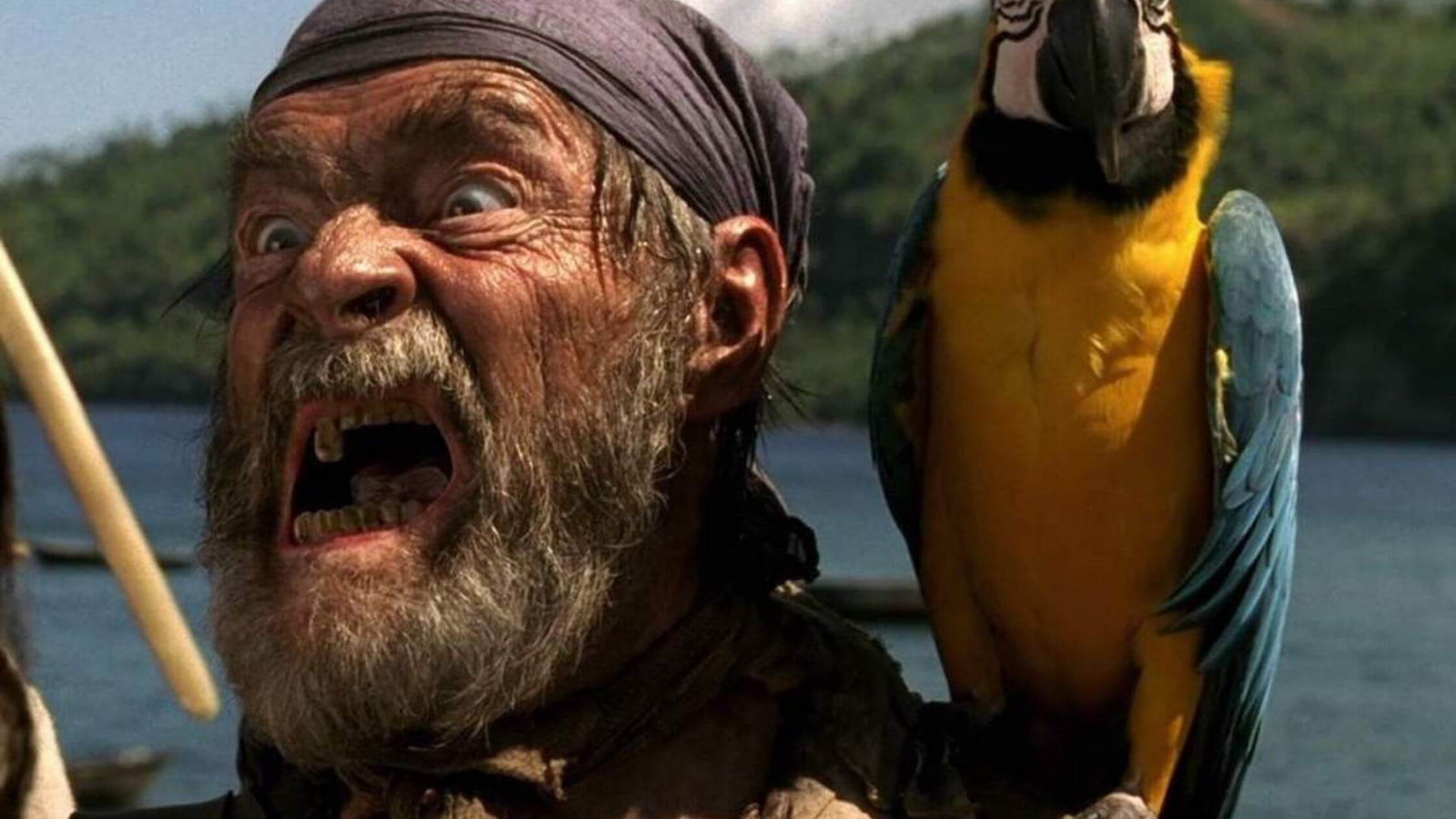 pourquoi les pirates ont un perroquet ?