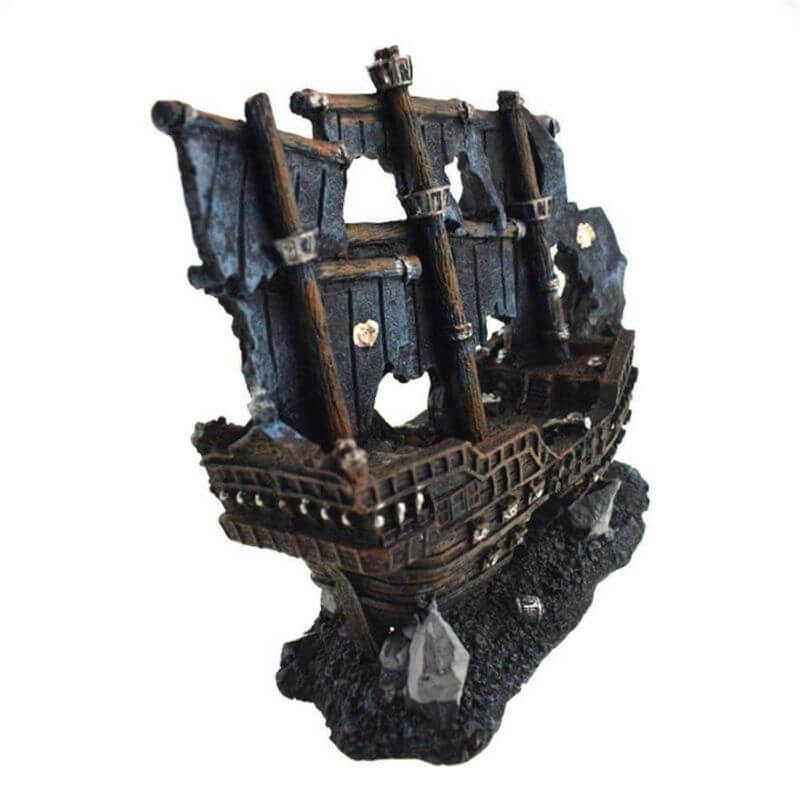 epave-bateau-pirate-aquarium